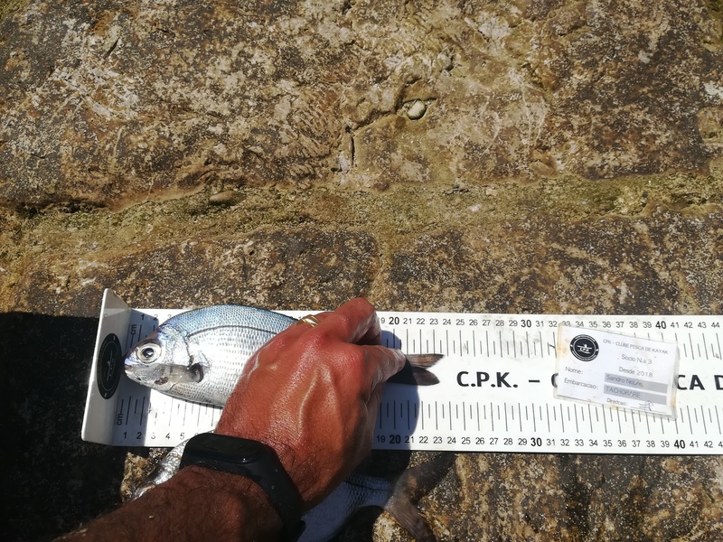 Fish Measure Picture