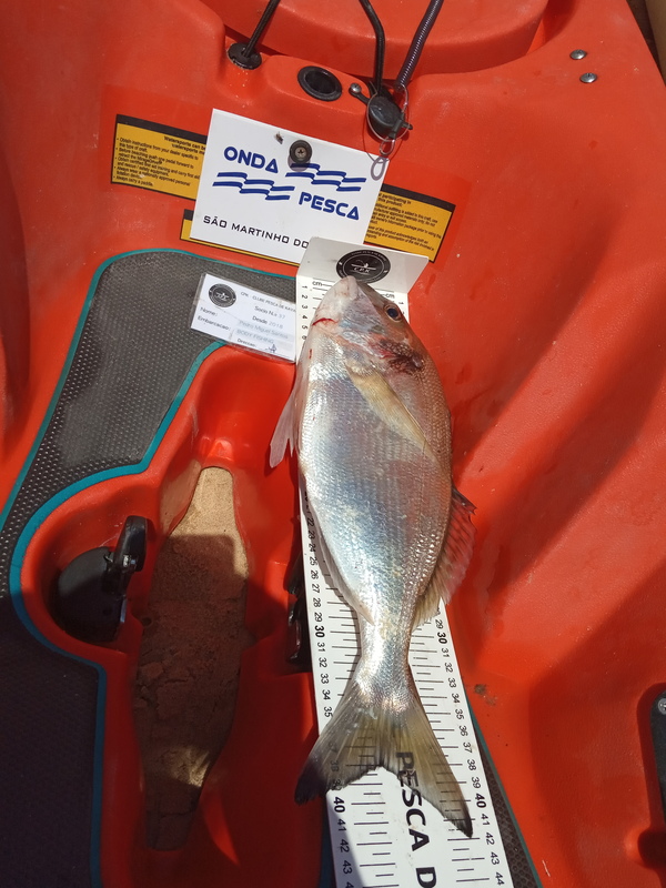 Fish Measure Picture