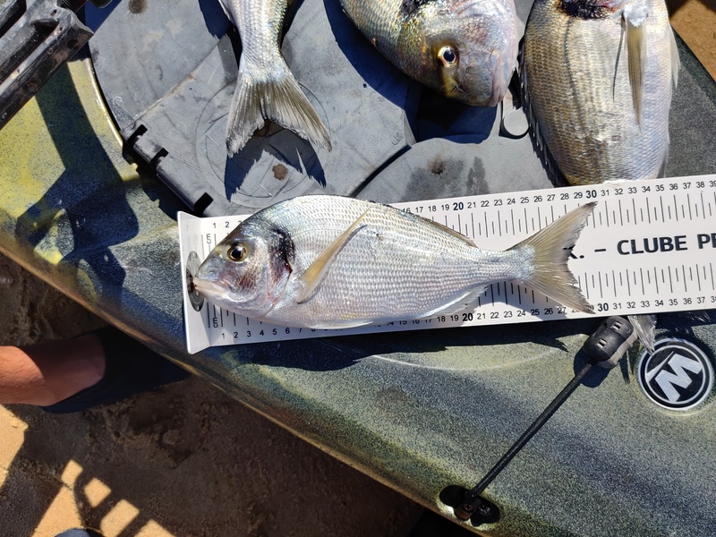 Fish Measure Picture