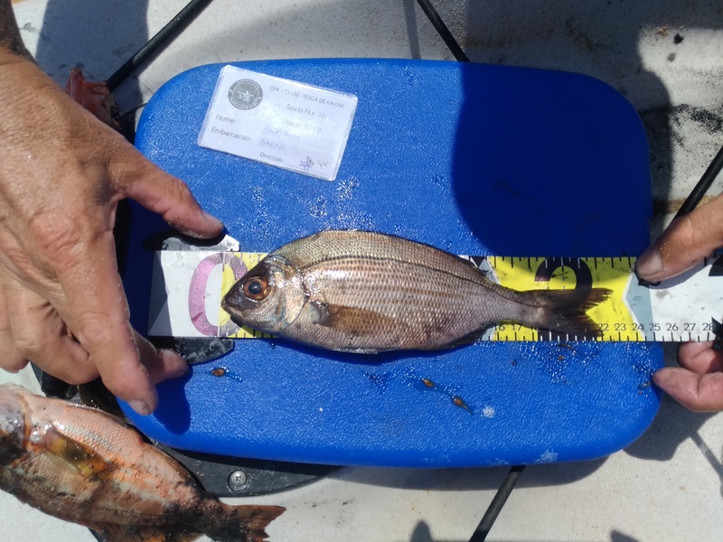 Fish Measure Picture