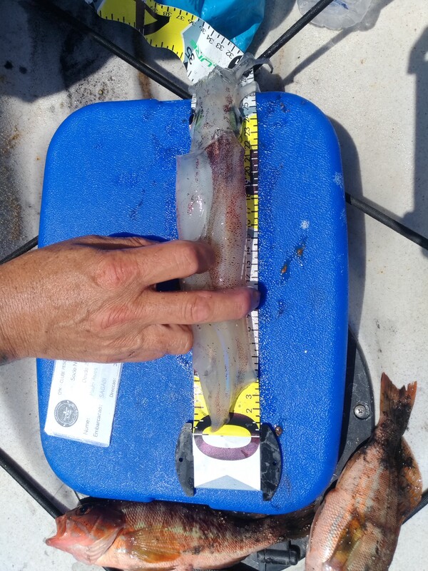 Fish Measure Picture
