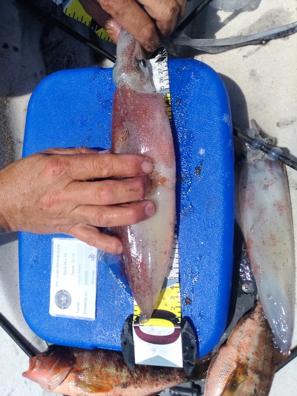 Fish Measure Picture