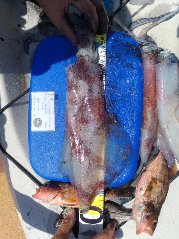 Fish Measure Picture