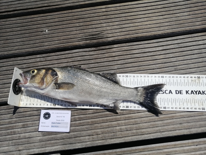 Fish Measure Picture