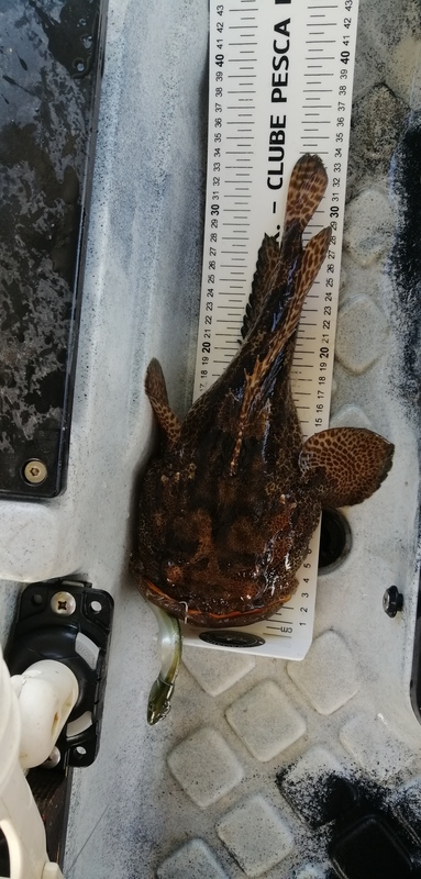 Fish Measure Picture