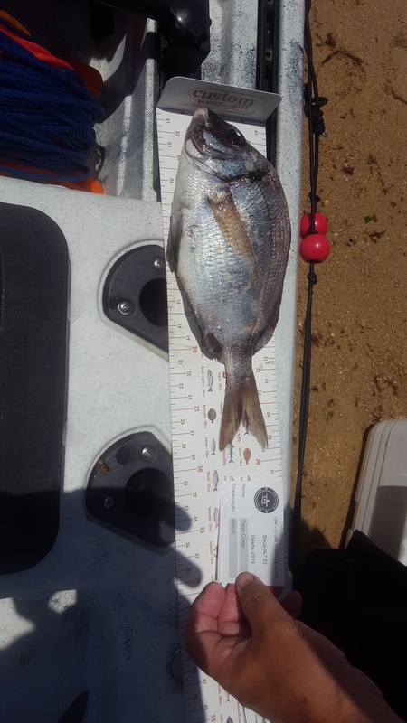 Fish Measure Picture