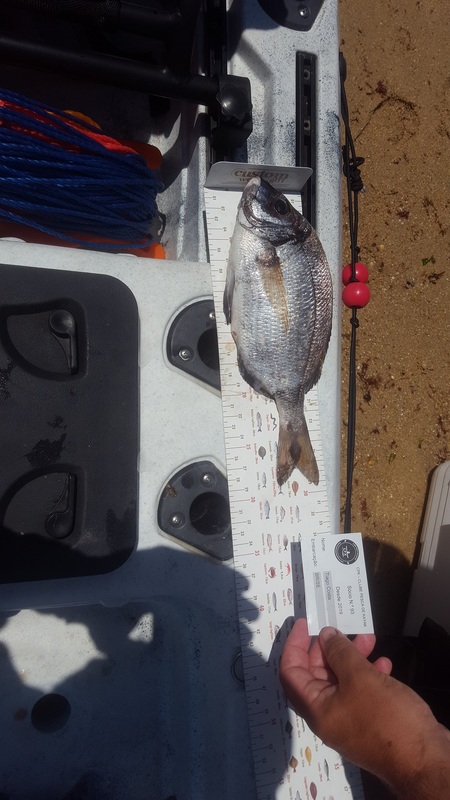 Fish Measure Picture
