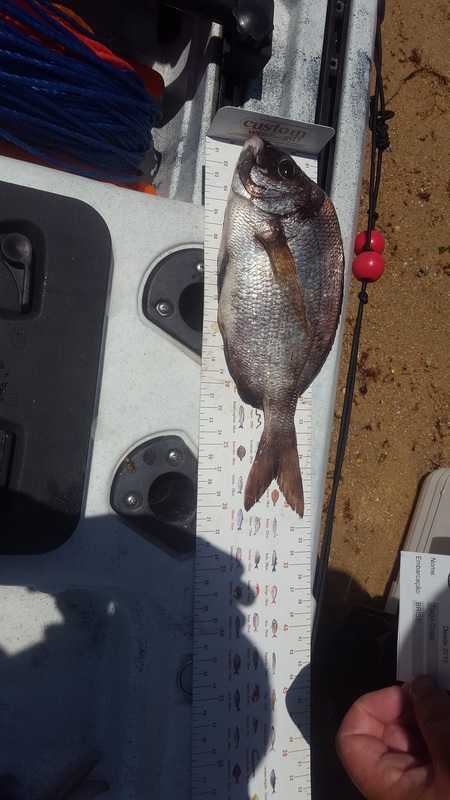 Fish Measure Picture