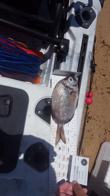 Fish Measure Picture