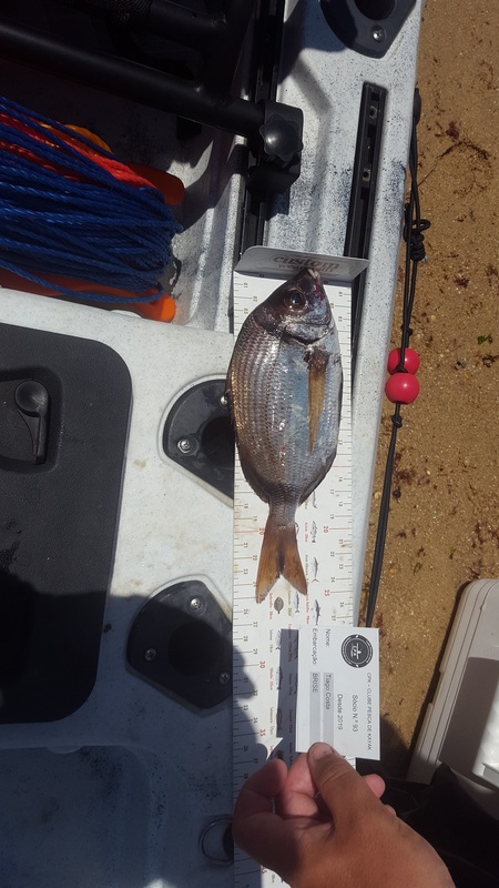 Fish Measure Picture