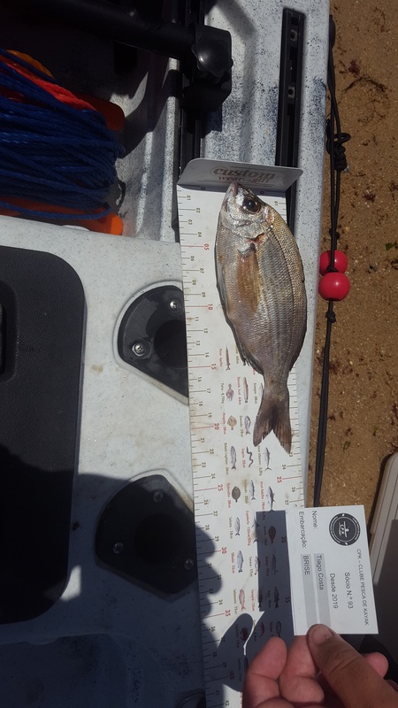 Fish Measure Picture
