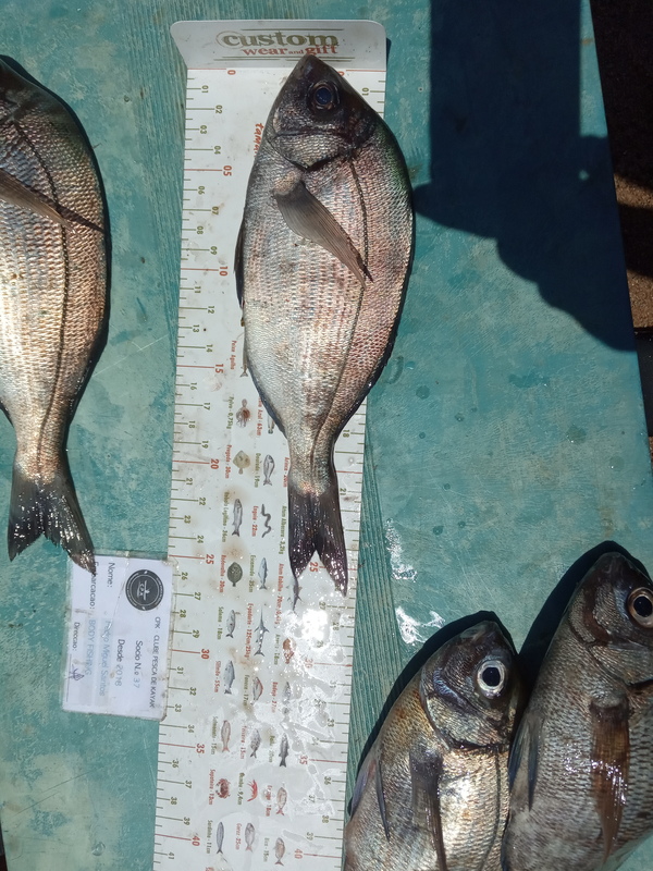 Fish Measure Picture