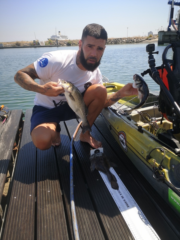 Fish Profile Picture