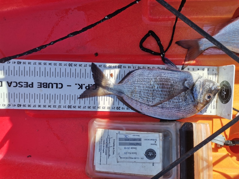 Fish Measure Picture