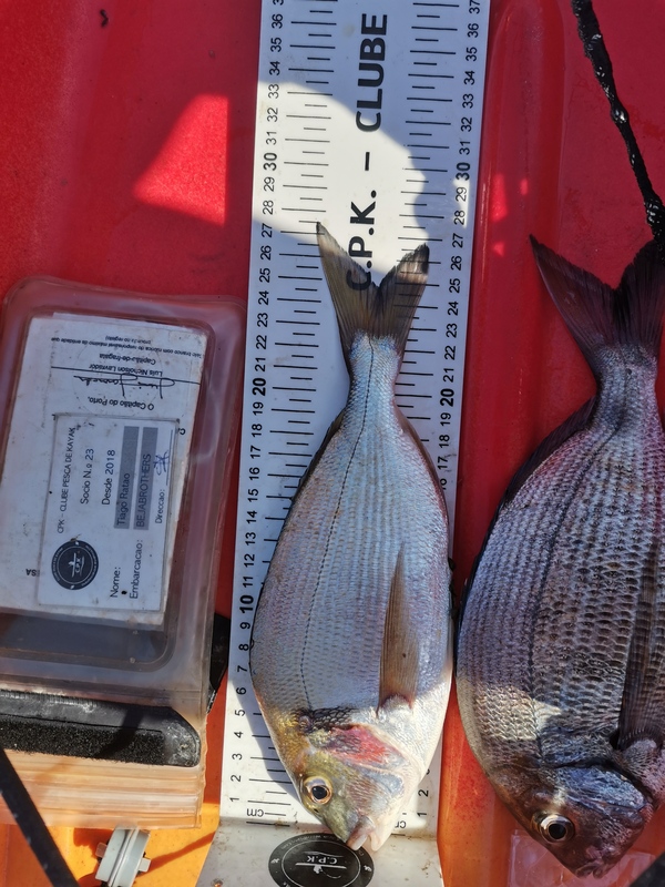 Fish Measure Picture