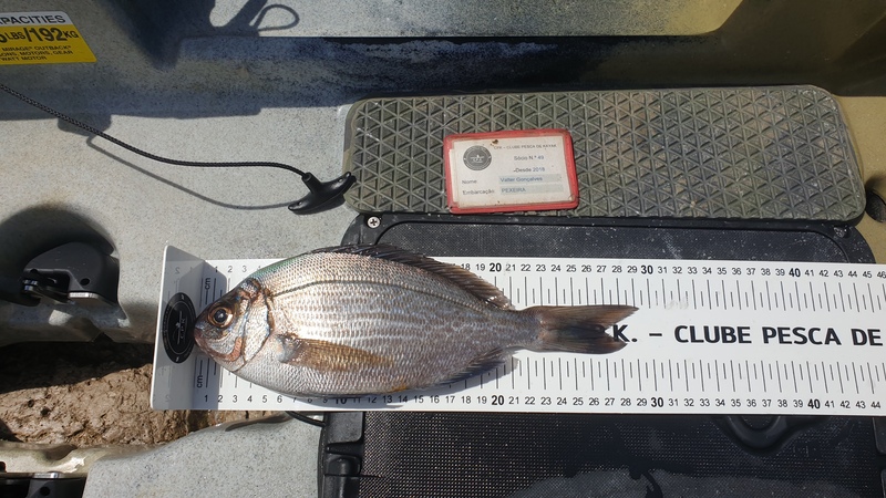 Fish Measure Picture