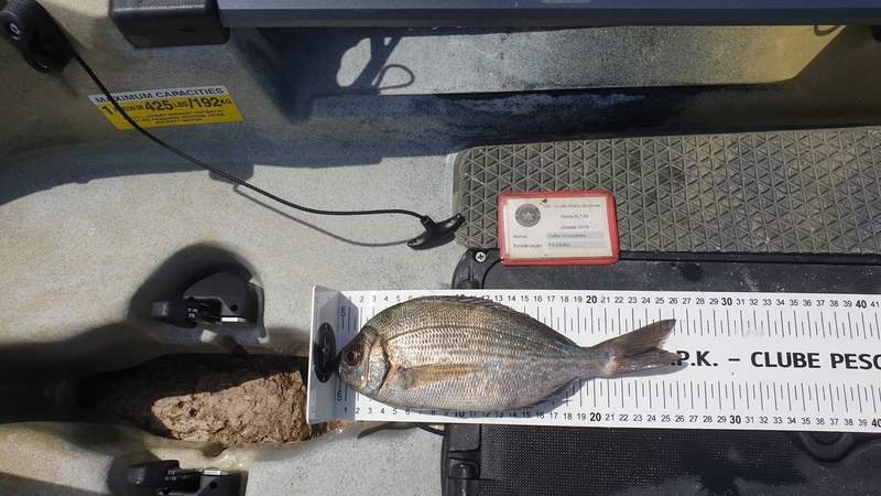 Fish Measure Picture