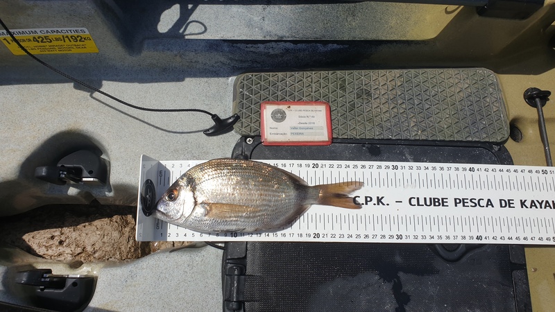 Fish Measure Picture