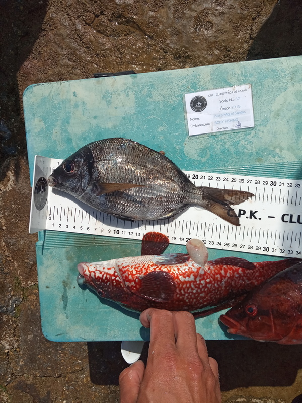 Fish Measure Picture