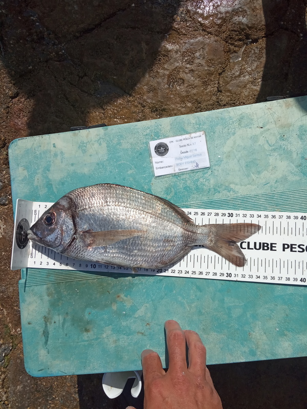 Fish Measure Picture