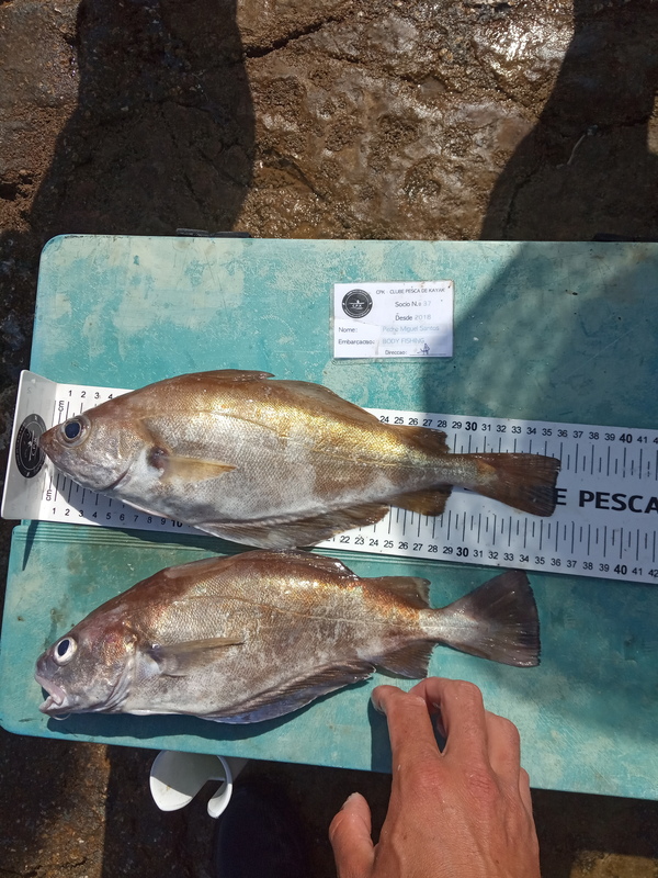 Fish Measure Picture