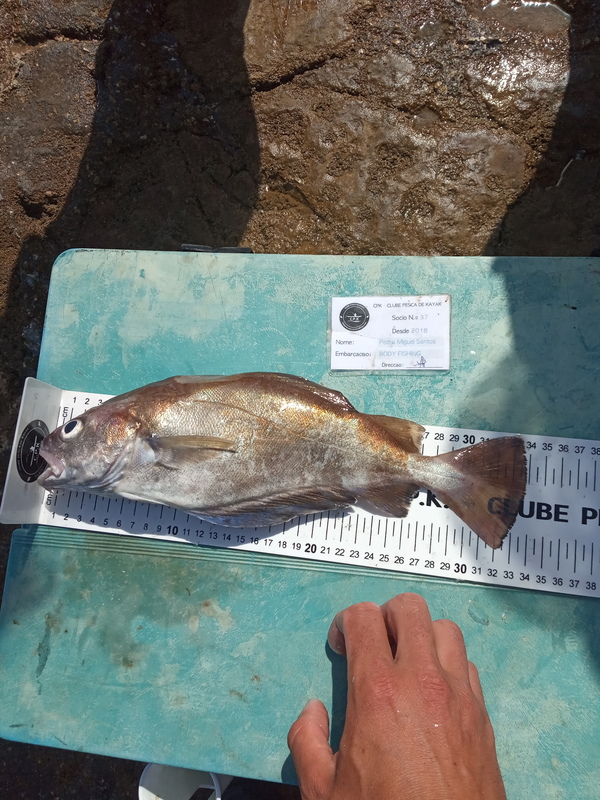 Fish Measure Picture