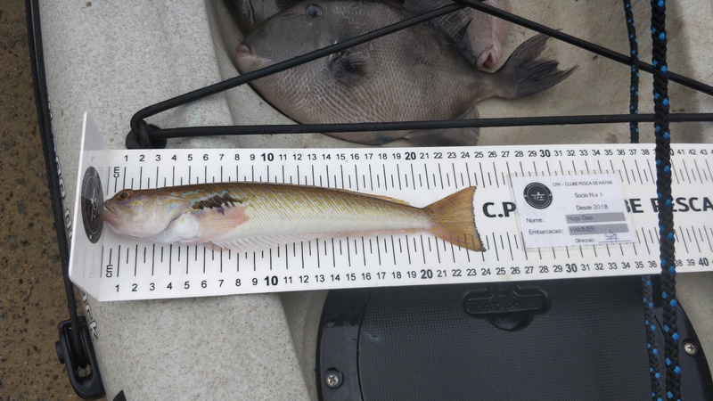 Fish Measure Picture