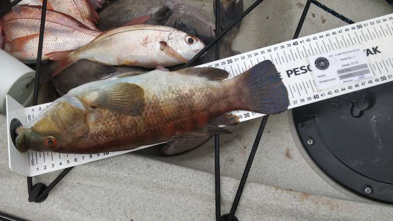 Fish Measure Picture
