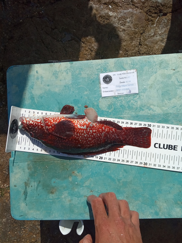 Fish Measure Picture