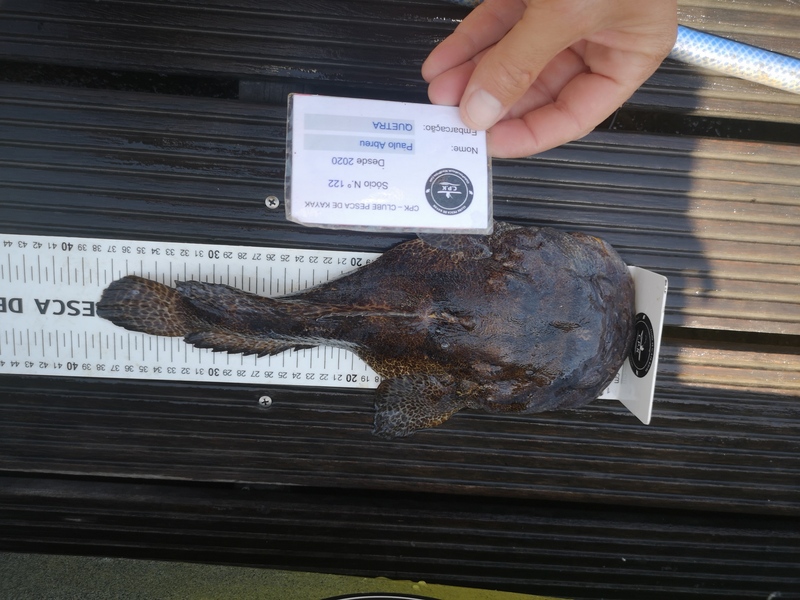 Fish Measure Picture
