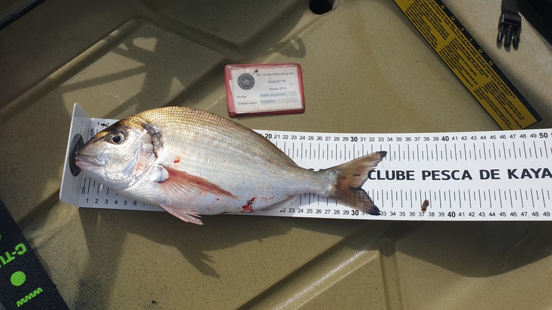 Fish Measure Picture