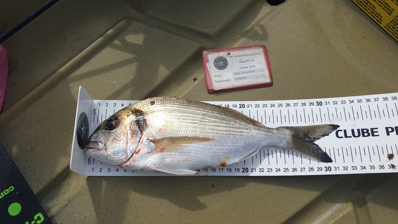 Fish Measure Picture