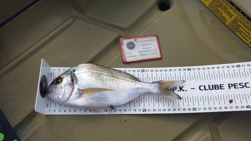 Fish Measure Picture