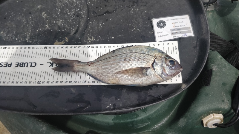 Fish Measure Picture