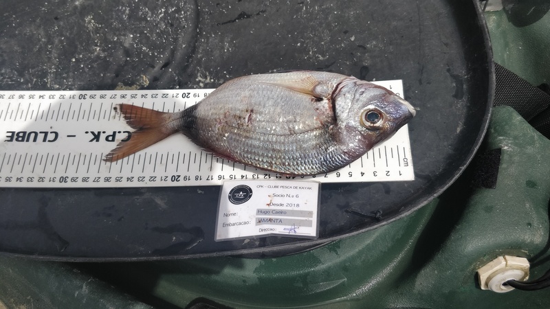 Fish Measure Picture