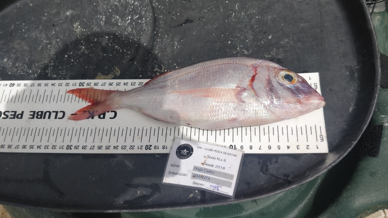 Fish Measure Picture