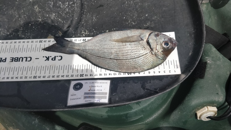 Fish Measure Picture