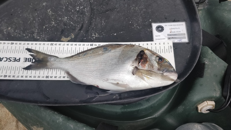 Fish Measure Picture