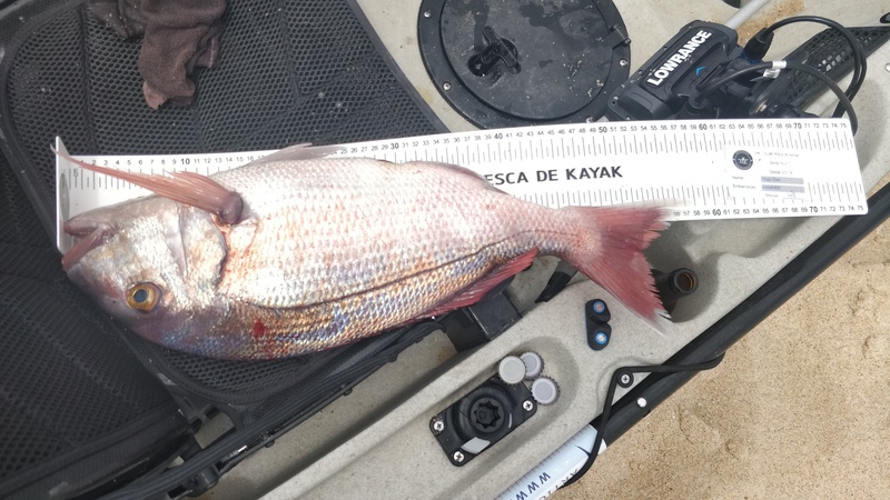 Fish Measure Picture
