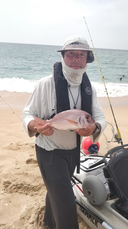 Fish Profile Picture