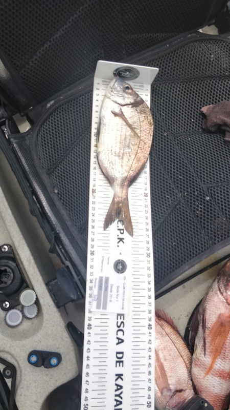 Fish Measure Picture