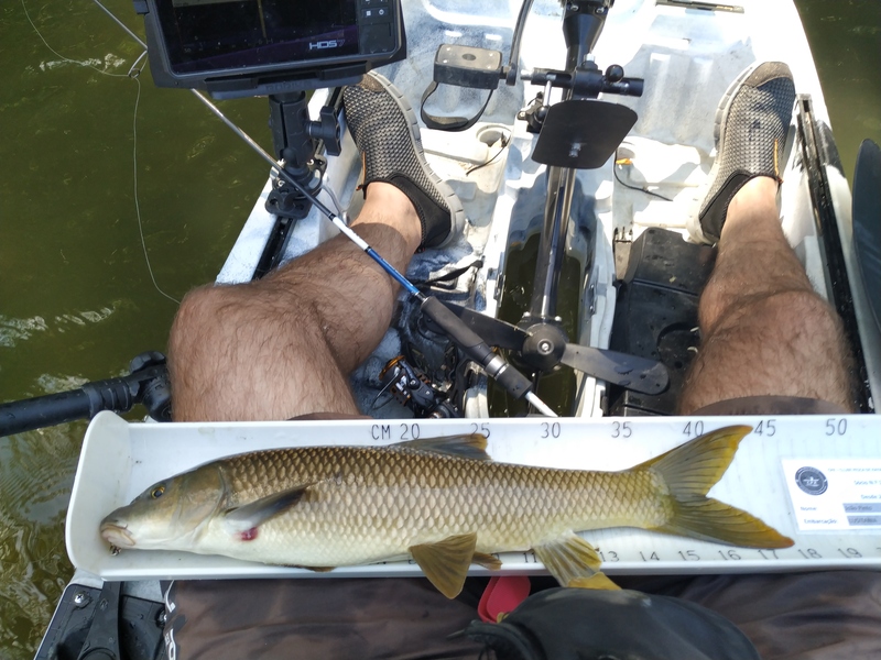 Fish Measure Picture