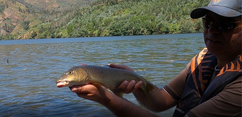 Fish Profile Picture