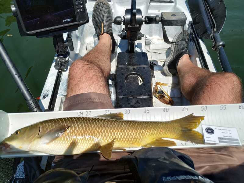 Fish Measure Picture