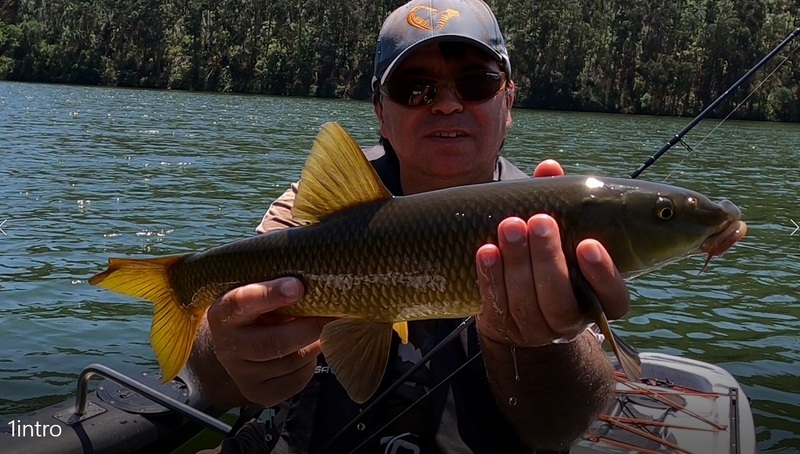 Fish Profile Picture
