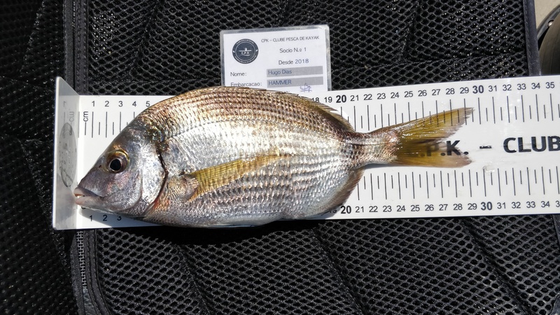 Fish Measure Picture