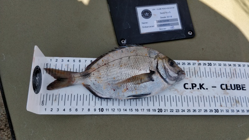 Fish Measure Picture