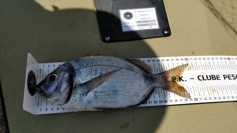 Fish Measure Picture