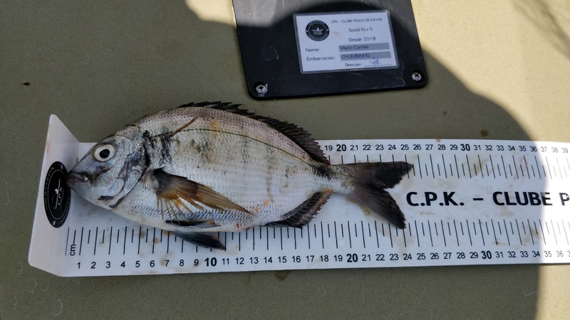 Fish Measure Picture