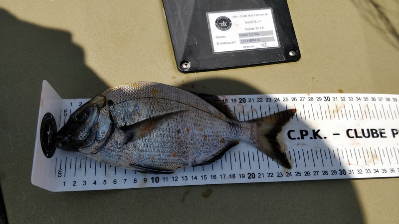 Fish Measure Picture